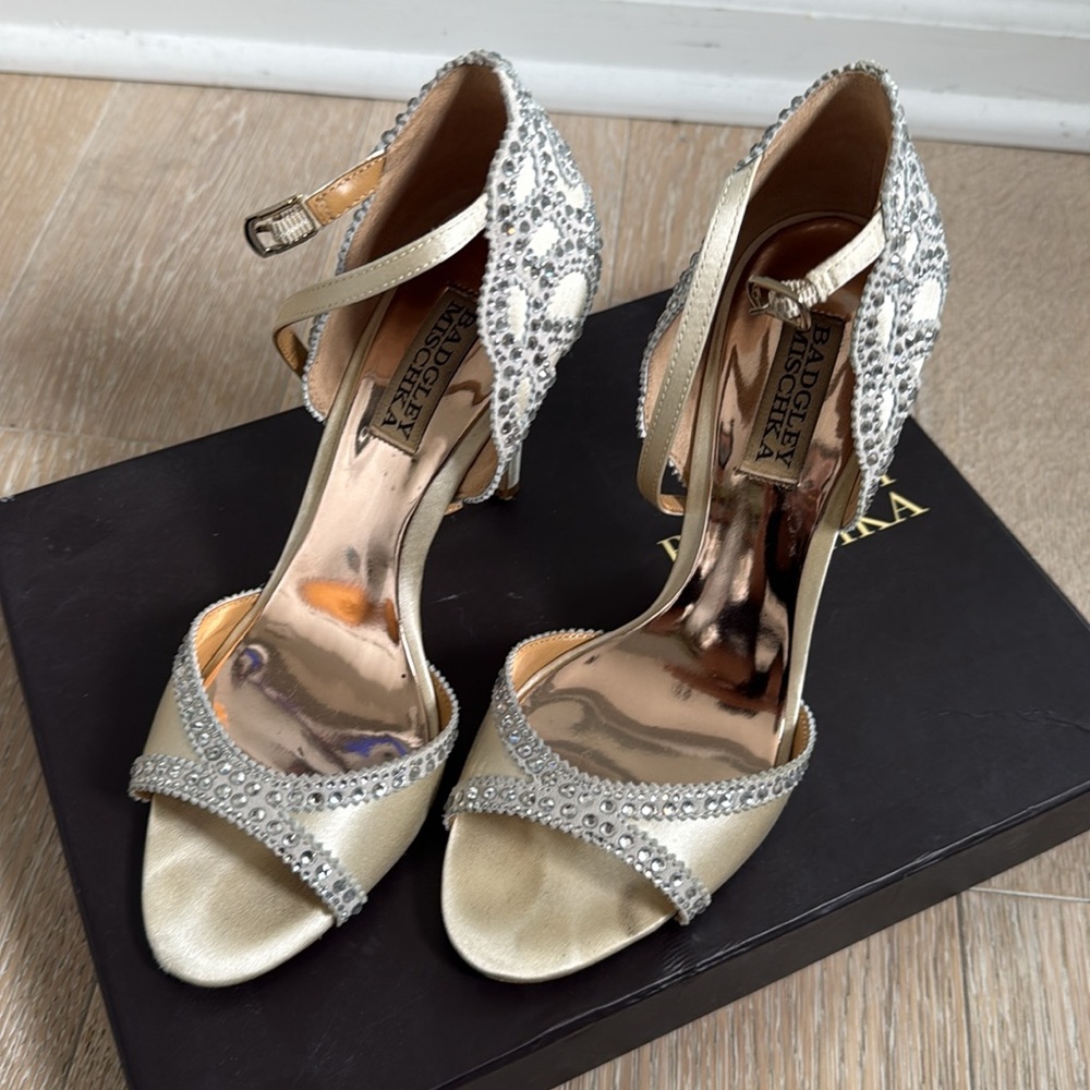 Badgley and Mischka Roxy Wedding Shoes with Box and Dustbag - Picture 10 of 10